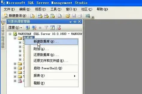 sql2008 sql2008