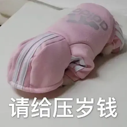 你压没压我睡没睡我该不该给我压岁钱表情包 你压没压我睡没睡我该不该给我压岁钱表情包