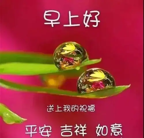 周四早上好图片 新版2021 周四早上好图片 新版2021