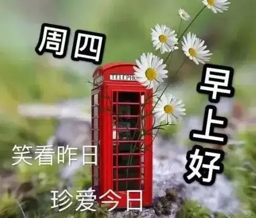 周四早上好图片 新版2021 周四早上好图片 新版2021