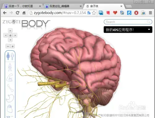 谷歌人体浏览器v39.0单机2024版 谷歌人体浏览器v39.0单机2024版