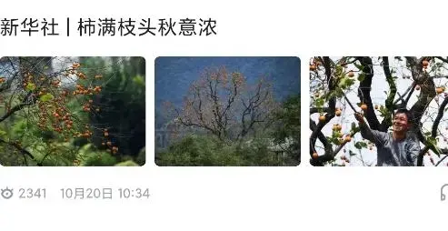 西施眼app最新版 西施眼app最新版