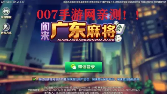 闲来广东麻将潮汕麻将