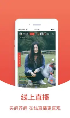 搜鸽天下一查成绩软件