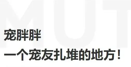 宠胖胖app安卓版