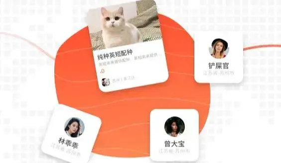 宠胖胖app安卓版 宠胖胖app安卓版