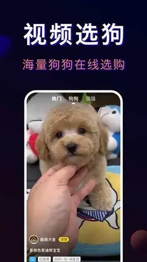 宠物宝app最新版