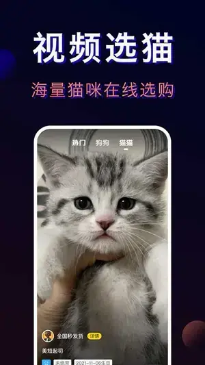 宠物宝app最新版