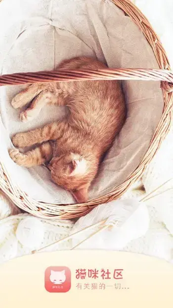 猫咪社区官网旧版