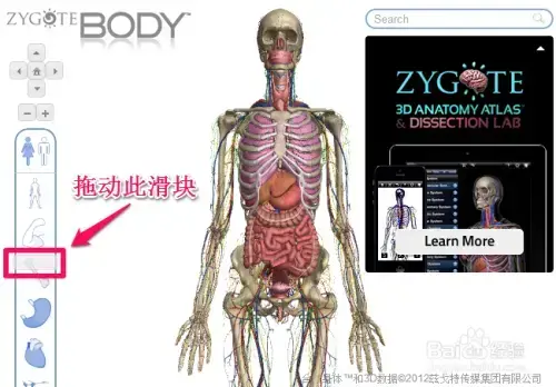 谷歌人体浏览器v39.0单机2024版