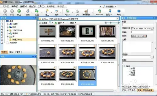 acdsee软件免费v8.0 acdsee软件免费v8.0