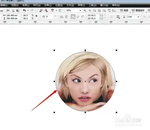 coreldraw正版v10.0