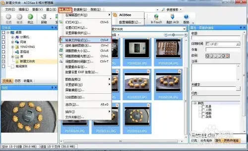 acdsee软件免费v8.0 acdsee软件免费v8.0