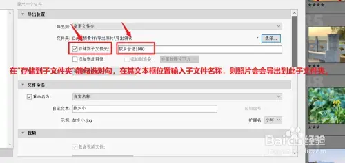 lightroom62024版v6.6 lightroom62024版v6.6