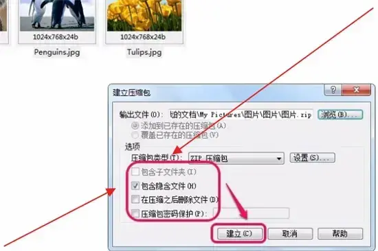 acdsee 3.1 绿色2024版 acdsee 3.1 绿色2024版