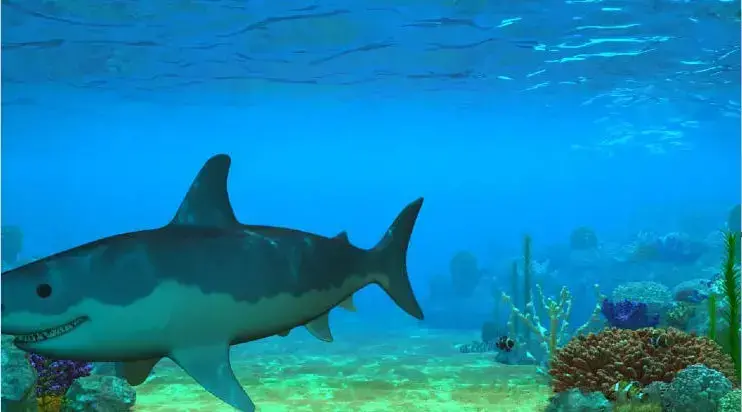 3d海底世界动态桌面免费版