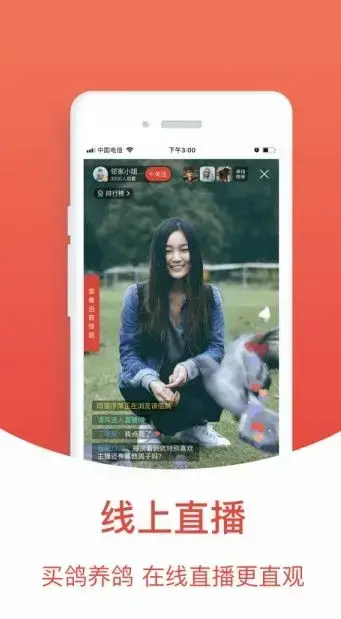 搜鸽天下一查信鸽成绩