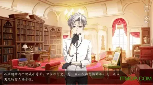 橙光游戏玛丽苏之旅手机版