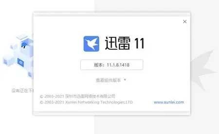 迅雷免安装版