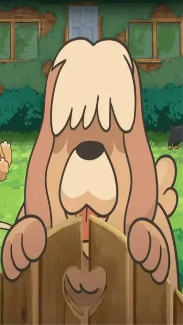 老友狗狗游戏