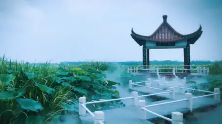 金湖论坛 金湖论坛