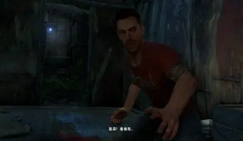 孤岛惊魂3免费版,孤岛惊魂3,孤岛惊魂3官方版