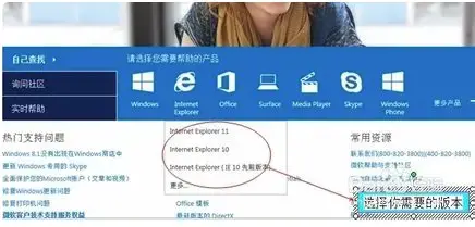 Internet Explorer6.0正式版v6.0
