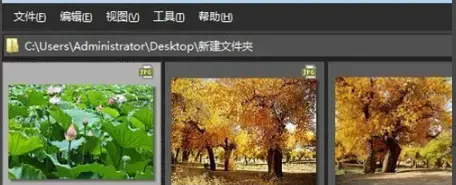 acdsee7绿色版v7.0 Build 102