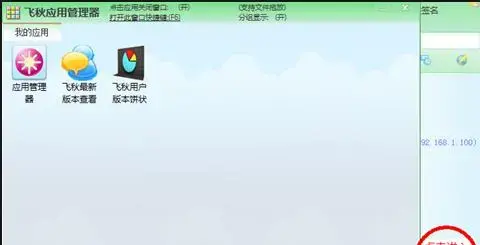 飞秋2013