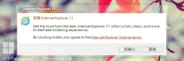 IE11 for win7免费版