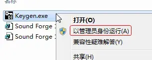 Vegas Pro 11 视频处理工具