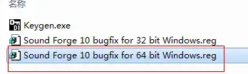 Vegas Pro 11 视频处理工具