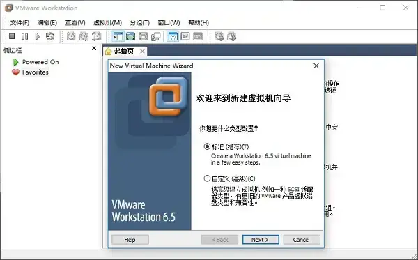 vmware workstation 6.5