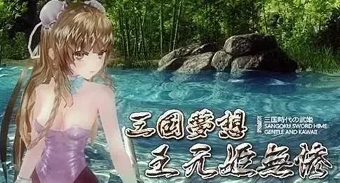 三国梦想王元姬无惨