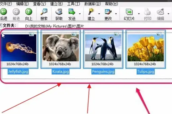 acdsee 3.1 绿色2024版 acdsee 3.1 绿色2024版