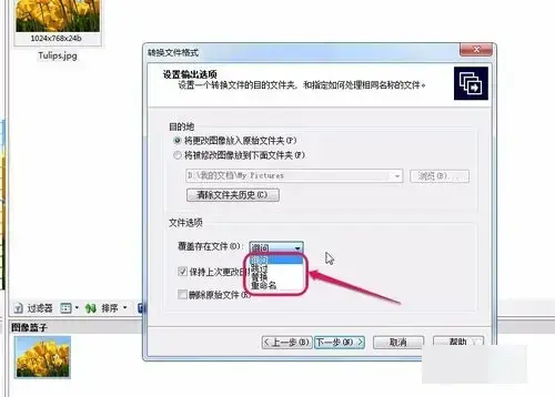 acdsee 3.1 绿色2024版 acdsee 3.1 绿色2024版