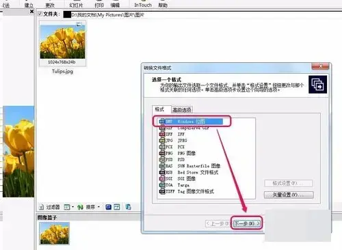 acdsee 3.1 绿色2024版 acdsee 3.1 绿色2024版