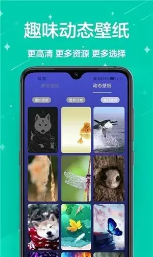 主题君 主题君