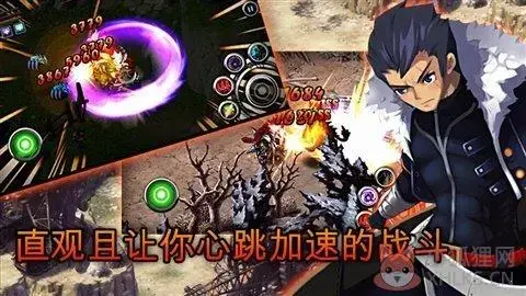 泽诺尼亚5中文2024版
