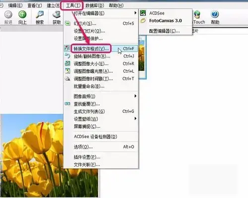 acdsee 3.1 绿色2024版 acdsee 3.1 绿色2024版