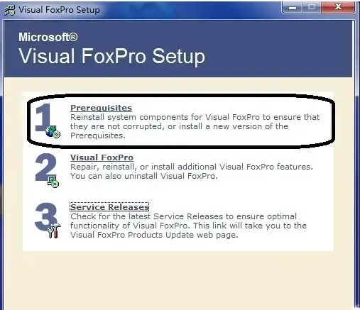 microsoft visual foxpro正版 v9.0 简体正式版