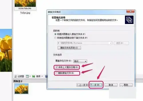 acdsee 3.1 绿色2024版 acdsee 3.1 绿色2024版