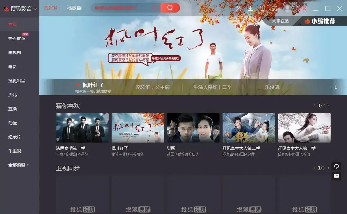 搜狐影音播放器 V7.0.13.0 官方正式版