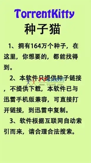 种子猫 种子猫