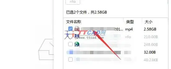 种子猫 种子猫