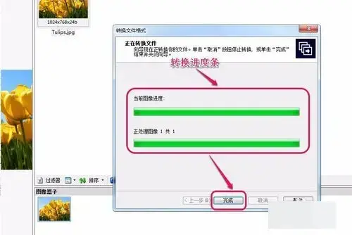 acdsee 3.1 绿色2024版 acdsee 3.1 绿色2024版