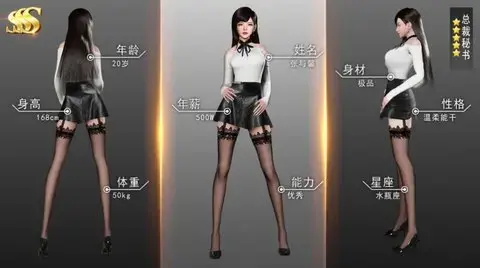 我的完美秘书2022