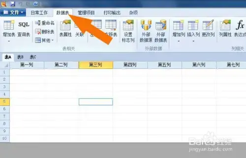 Foxtable狐表开发版 v2020 完美2024版免费 Foxtable狐表开发版 v2020 完美2024版免费