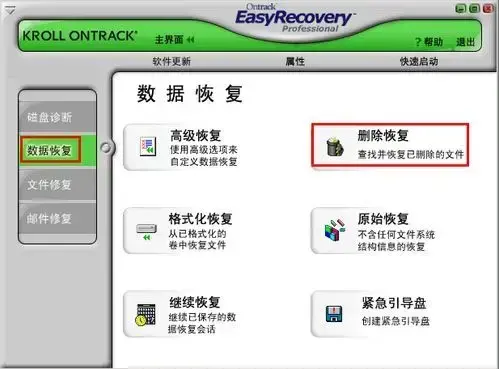 EasyRecovery Pro 6.0  v6.0 汉化2024版免费版