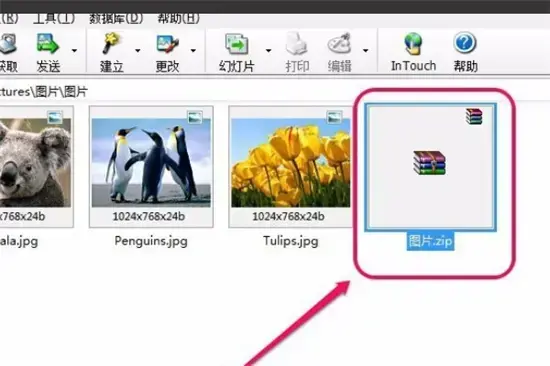acdsee 3.1 绿色2024版 acdsee 3.1 绿色2024版